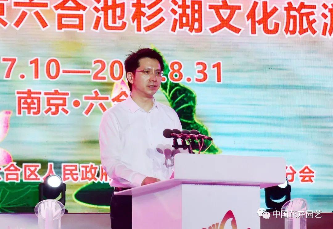 澳门六盒资料生肖卡使用指南，揭秘幸运之门