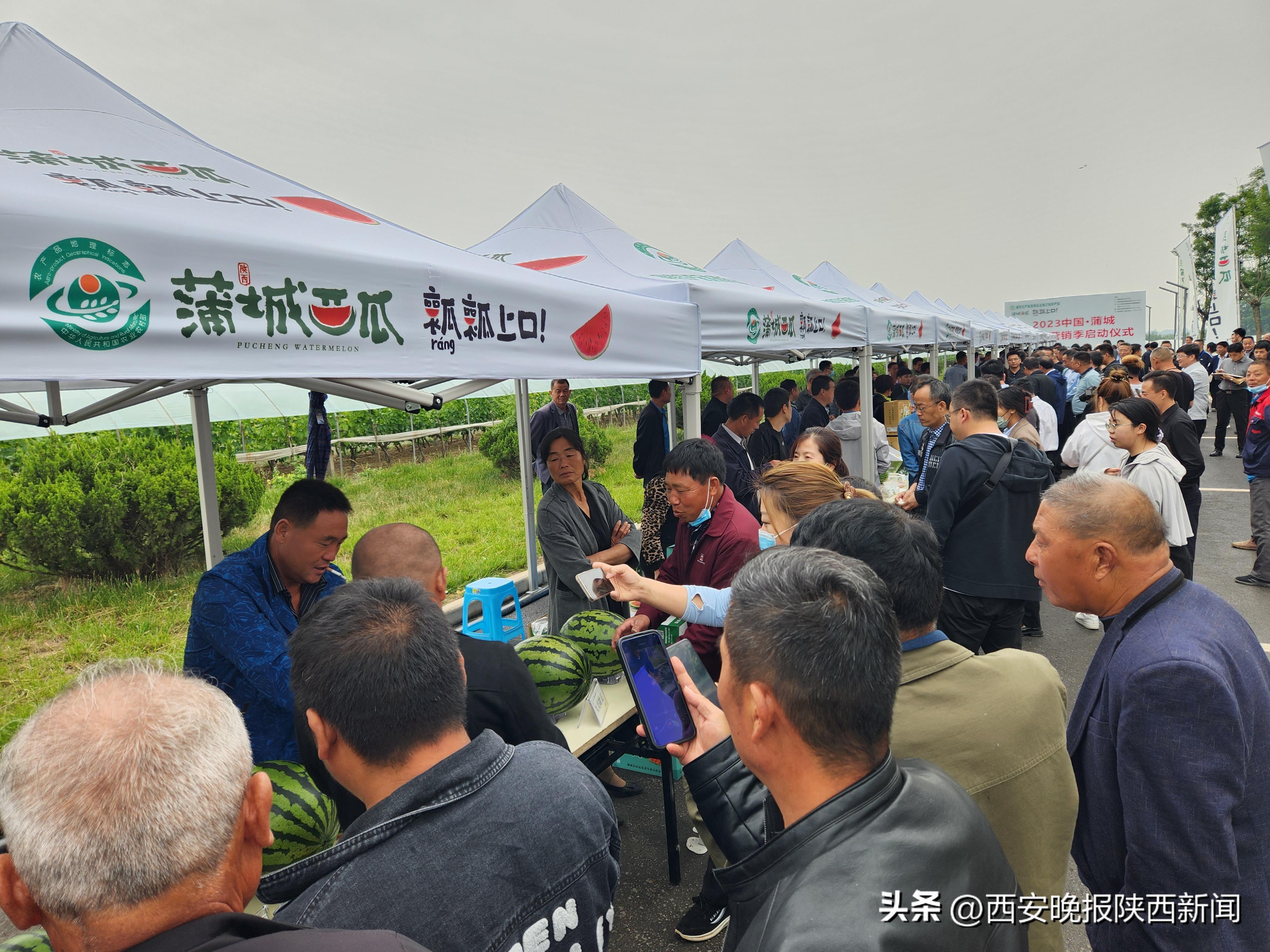澳门六盒宝典2023开彩结果最新预测分析，理性看待彩票，理性生活