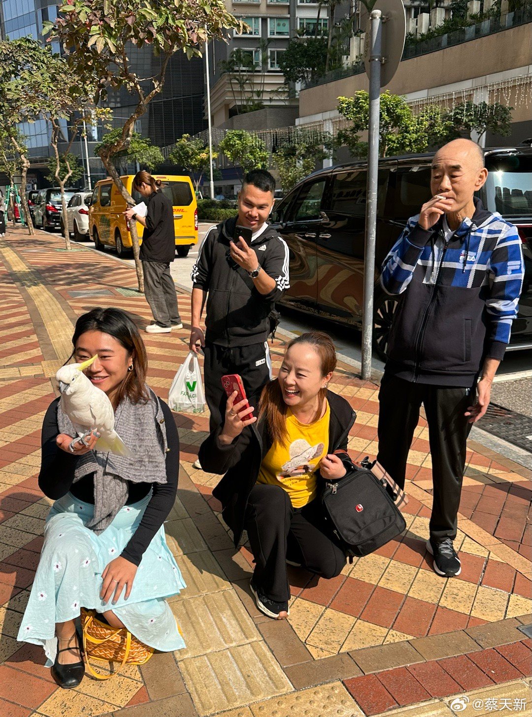 澳门六叔，近期新闻报道内容视频最新版—揭秘六叔背后的故事与影响