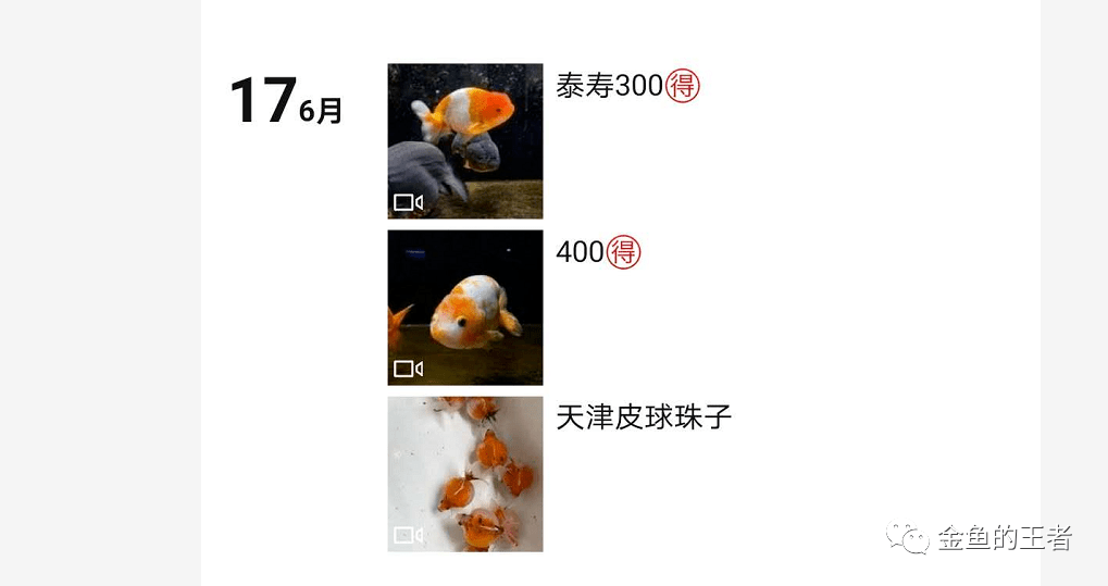 澳门六叔近期新闻视频播放，揭秘最新动态与今日开奖结果