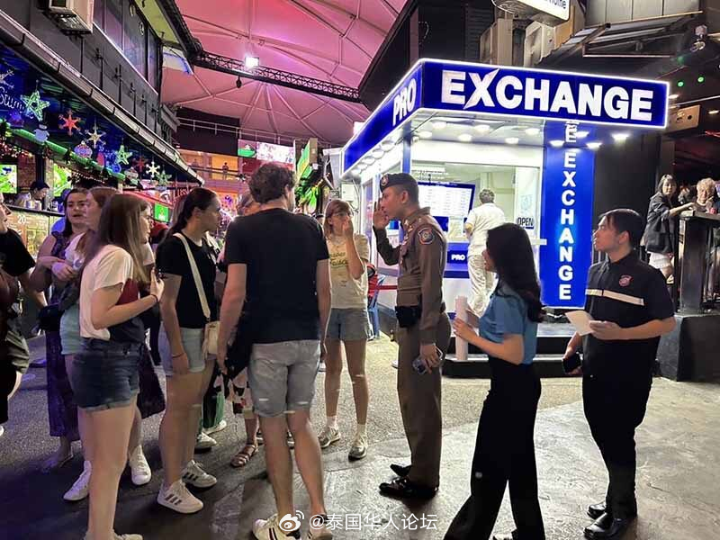 联系我们 第31页