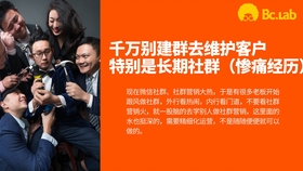 澳门六哥老板揭秘，从神秘到透明的探索之旅