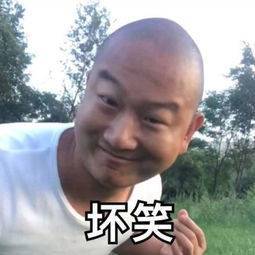 澳门六哥老板的神秘面纱，揭秘与图片表情包趣谈
