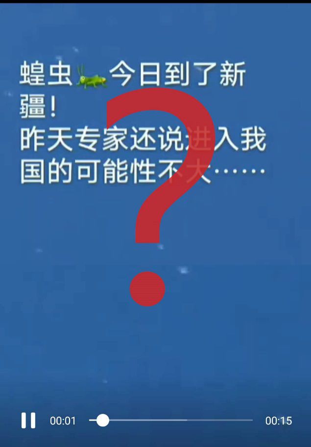 澳门六哥与香港六哥，网络视频的真相与风险