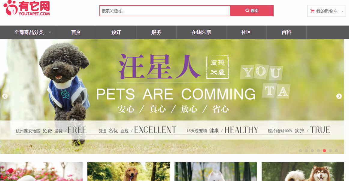 澳门六哥直播视频，免费观看的灰色地带与法律风险