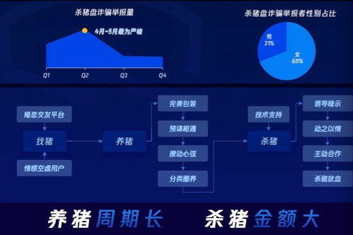 警惕网络陷阱，揭秘澳门六哥直播网站的真相